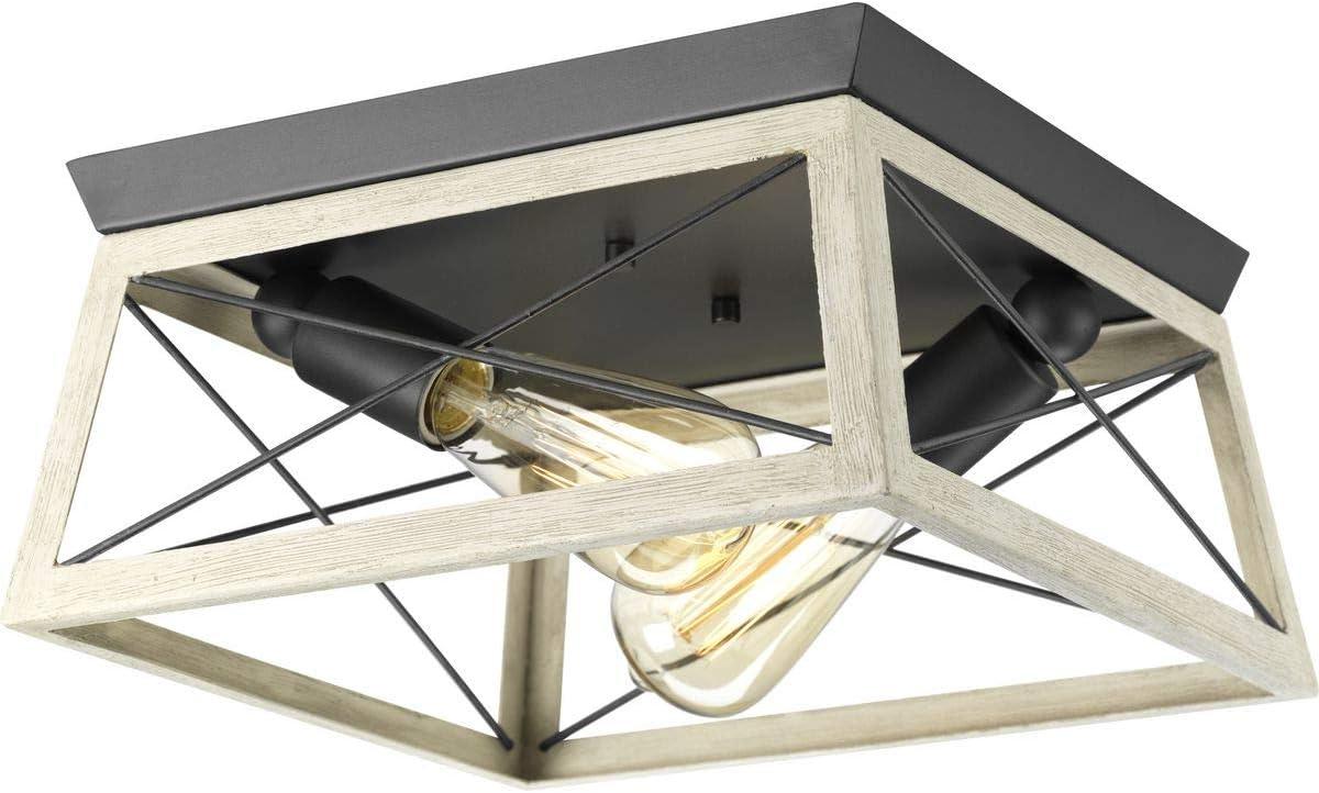 image:imageProgress Lighting Briarwood Collection 2Light Ceiling Light Flush Mount Ceiling Light Fixture for Interior Kitchen Lights Hallway Bedroom Living Room 12Inch by 6Inch Galvanized FinishGraphite