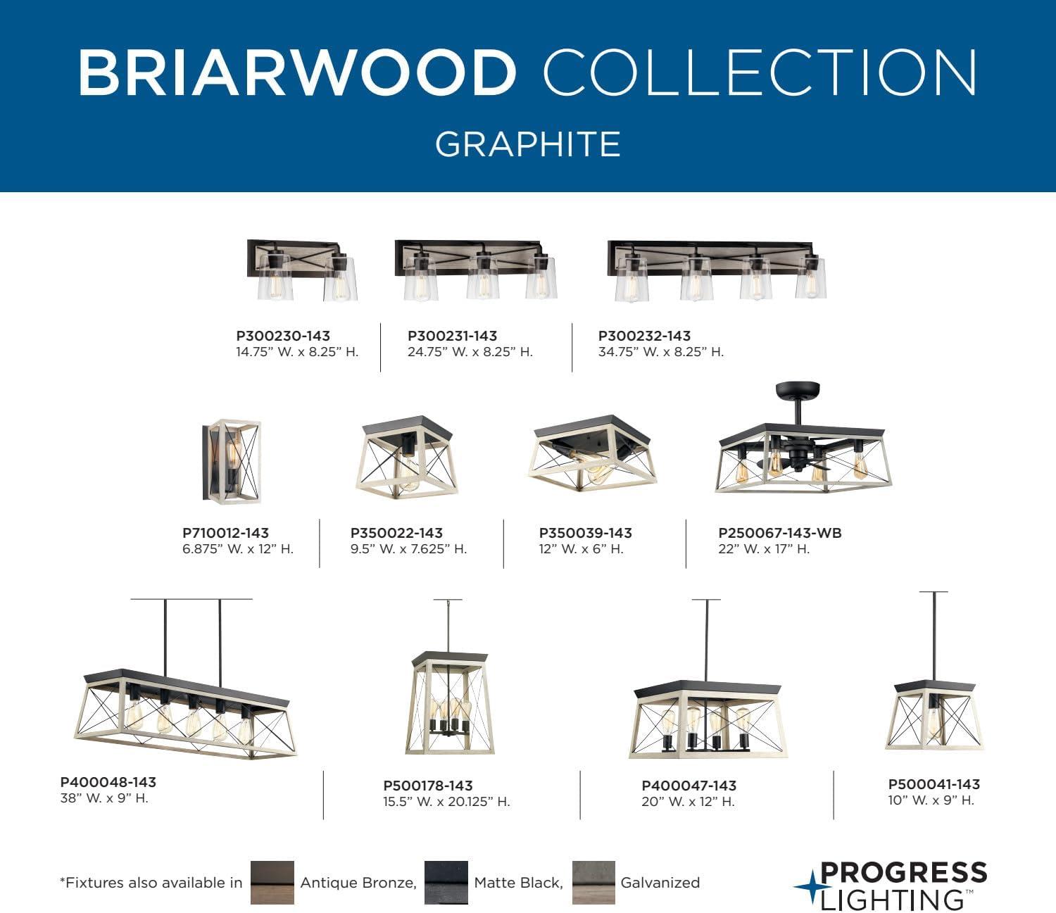 image:imageProgress Lighting Briarwood Collection 2Light Ceiling Light Flush Mount Ceiling Light Fixture for Interior Kitchen Lights Hallway Bedroom Living Room 12Inch by 6Inch Galvanized FinishGraphite