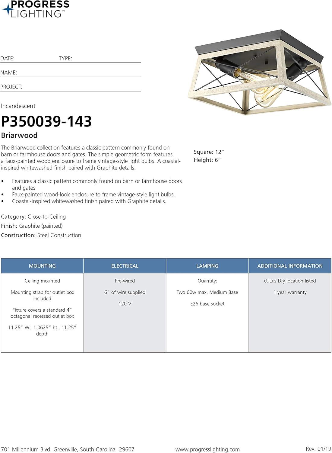 image:imageProgress Lighting Briarwood Collection 2Light Ceiling Light Flush Mount Ceiling Light Fixture for Interior Kitchen Lights Hallway Bedroom Living Room 12Inch by 6Inch Galvanized FinishGraphite