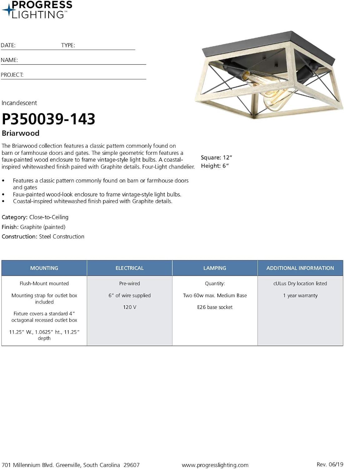 image:imageProgress Lighting Briarwood Collection 2Light Ceiling Light Flush Mount Ceiling Light Fixture for Interior Kitchen Lights Hallway Bedroom Living Room 12Inch by 6Inch Galvanized FinishGraphite