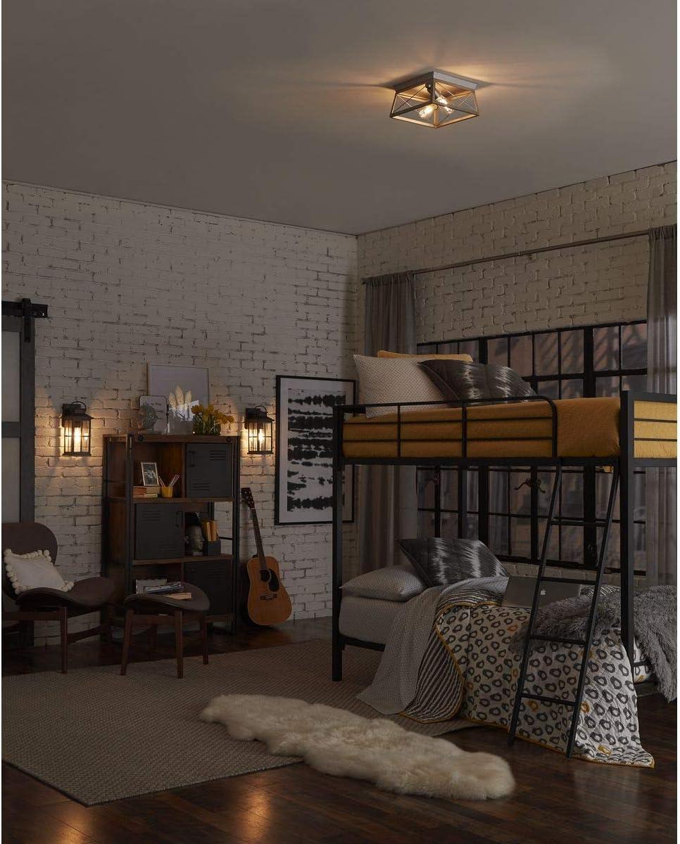 image:imageProgress Lighting Briarwood Collection 2Light Ceiling Light Flush Mount Ceiling Light Fixture for Interior Kitchen Lights Hallway Bedroom Living Room 12Inch by 6Inch Galvanized FinishGalvanized Finish