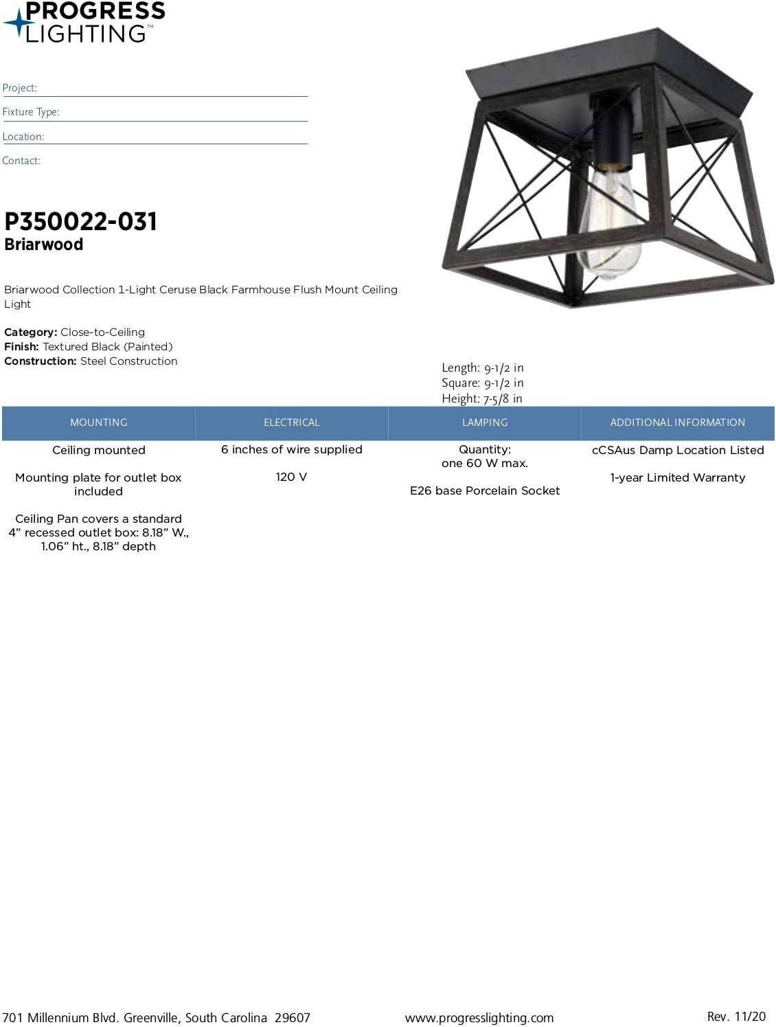 image:imageProgress Lighting Briarwood Collection 2Light Ceiling Light Flush Mount Ceiling Light Fixture for Interior Kitchen Lights Hallway Bedroom Living Room 12Inch by 6Inch Galvanized FinishTextured Black