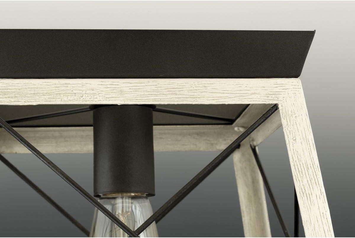 image:imageProgress Lighting Briarwood Collection 2Light Ceiling Light Flush Mount Ceiling Light Fixture for Interior Kitchen Lights Hallway Bedroom Living Room 12Inch by 6Inch Galvanized FinishGraphite