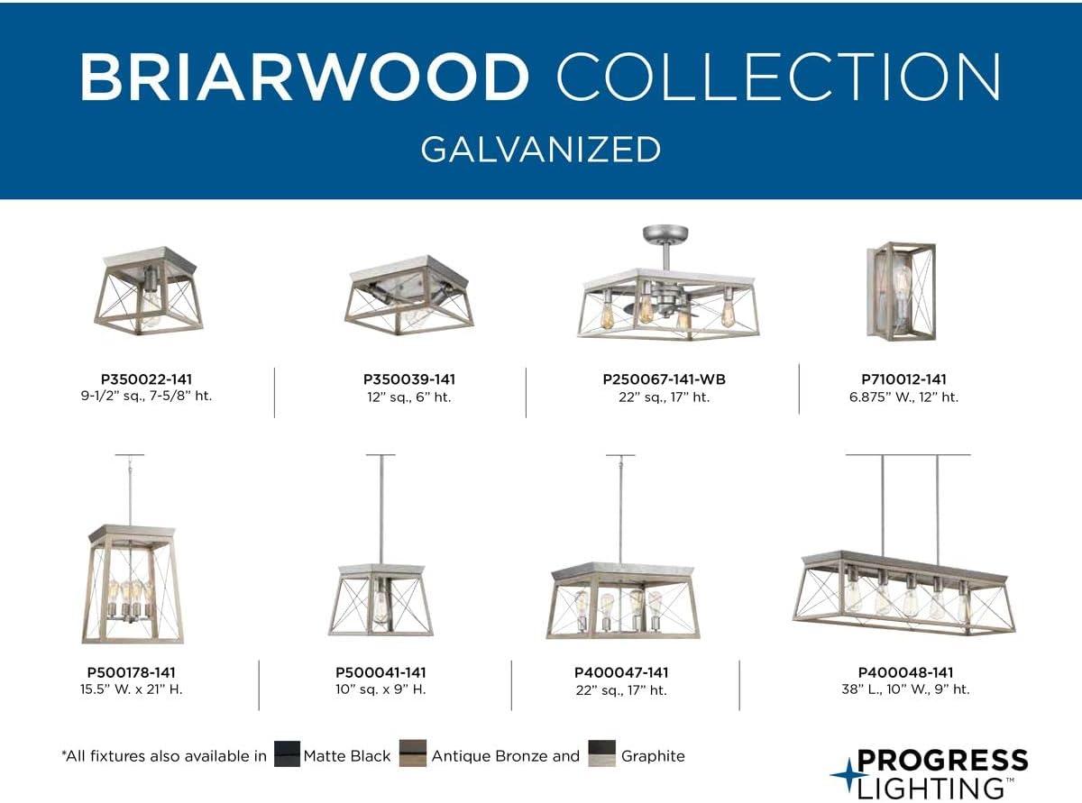 image:imageProgress Lighting P500178020 Briarwood Hall amp Foyer BronzeGalvanized