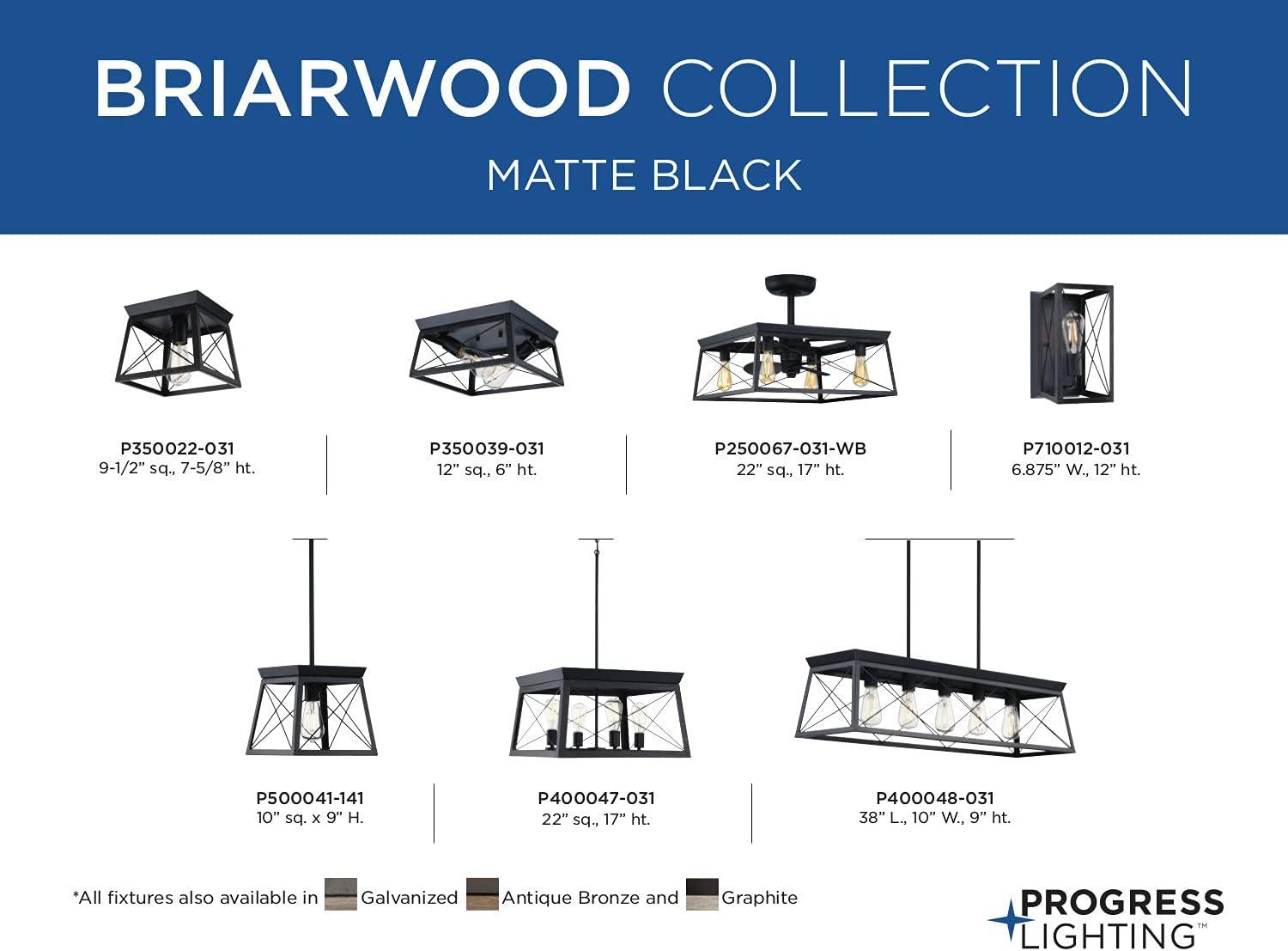 image:imageProgress Lighting P710012143 Briarwood Graphite OneLight Wall Sconce BlackTextured Black