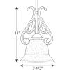 Progress Lighting 1-Light Mini-Pendant Light Fixture, Bell-Shaped, Tea-Colored Shade, Torino Collection, Forged Bronze, P5153-77(Forged Bronze)