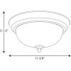 Progress Lighting 3-Light Ceiling Light, Flush Mount Ceiling Light Fixture for Interior Kitchen Lights, Hallway, Bedroom, Living Room, 15-1/4-Inch by 6-5/8-Inch, Brushed Nickel, Alabaster Glass Shade(Brushed Nickel)