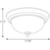 Progress Lighting 3-Light Ceiling Light, Flush Mount Ceiling Light Fixture for Interior Kitchen Lights, Hallway, Bedroom, Living Room, 15-1/4-Inch by 6-5/8-Inch, Brushed Nickel, Alabaster Glass Shade(Forged Black)