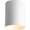 Progress Lighting 5-Inch Cylinder Outdoor Ceiling Light, 1-Light Modern Flush Mount Ceiling Fixture, Interior and Exterior Lighting for Home or Porch, Aluminum Construction, White, P5774-30(White)