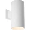 Progress Lighting 6-Inch Cylinder Outdoor Wall Sconce, 1-Light Modern Wall Mount Light, Interior and Exterior Lighting for Home or Porch, Aluminum Construction, Black (P5641-31)(White)