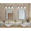 Progress Lighting Appeal Collection 3-Light Etched White Glass Modern Bath Vanity Light Brushed Nickel(Nickel)