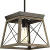 Progress Lighting Briarwood Collection 1-Light Bleached Oak Farmhouse Mini-Pendant Light, Galvanized, 9.00×10.00×10.00(Bronze)