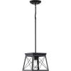 Progress Lighting Briarwood Collection 1-Light Bleached Oak Farmhouse Mini-Pendant Light, Galvanized, 9.00×10.00×10.00(Ceruse Black)