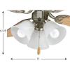 Progress Lighting P2600-20WB Fan Light Kit, Brown(Brushed Nickel)