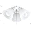 Progress Lighting P2600-20WB Fan Light Kit, Brown(White)