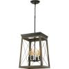 Progress Lighting P500178-020 Briarwood Hall & Foyer, Bronze(Antique Bronze)