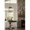 Progress Lighting P500178-020 Briarwood Hall & Foyer, Bronze(Graphite)