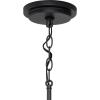 Progress Lighting P500178-020 Briarwood Hall & Foyer, Bronze(Textured Black)