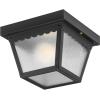 Progress Lighting P5744-31 Non-Metallic Ceiling Light with 1-Piece White Acrylic Diffuser, Black(Matte Black)
