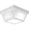 Progress Lighting P5744-31 Non-Metallic Ceiling Light with 1-Piece White Acrylic Diffuser, Black(White)