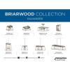 Progress Lighting P710012-143 Briarwood Graphite One-Light Wall Sconce, , Black(Galvanized Finish)