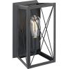 Progress Lighting P710012-143 Briarwood Graphite One-Light Wall Sconce, , Black(Textured Black)