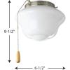 Progress Lighting Two-Light Universal Opal Glass Fan Light Kit, Graphite(Brushed Nickel)