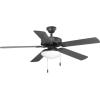 Progress Lighting Two-Light Universal Opal Glass Fan Light Kit, Graphite(Graphite)