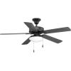 Progress Lighting Two-Light Universal Opal Glass Fan Light Kit, Graphite(Graphite)