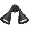 Progress Lighting 2-Light Adjustable Swivel Par Lampholder Outdoor Wall Light with Cover, Outdoor, P5203-20, Antique Bronze
