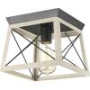 Progress Lighting Briarwood Collection 2-Light Ceiling Light, Flush Mount Ceiling Light Fixture for Interior Kitchen Lights, Hallway, Bedroom, Living Room, 12-Inch by 6-Inch, Galvanized Finish(Graphite)