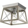 Progress Lighting Briarwood Collection 2-Light Ceiling Light, Flush Mount Ceiling Light Fixture for Interior Kitchen Lights, Hallway, Bedroom, Living Room, 12-Inch by 6-Inch, Galvanized Finish(Galvanized Finish)