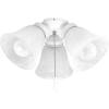 Progress Lighting P2600-20WB Fan Light Kit, Brown(White)