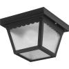 Progress Lighting P5744-31 Non-Metallic Ceiling Light with 1-Piece White Acrylic Diffuser, Black(Matte Black)