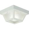Progress Lighting P5744-31 Non-Metallic Ceiling Light with 1-Piece White Acrylic Diffuser, Black(White)