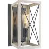 Progress Lighting P710012-143 Briarwood Graphite One-Light Wall Sconce, , Black(Graphite)