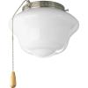 Progress Lighting Two-Light Universal Opal Glass Fan Light Kit, Graphite(Brushed Nickel)