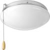 Progress Lighting Two-Light Universal Opal Glass Fan Light Kit, Graphite(Polished Chrome)