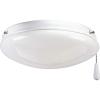Progress Lighting Two-Light Universal Opal Glass Fan Light Kit, Graphite(White)