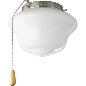Progress Lighting Two-Light Universal Opal Glass Fan Light Kit, Graphite(Brushed Nickel)