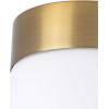 Progress Lighting P300023-109 Elevate Four-Light Bath, Antique Bronze(Brushed Bronze)