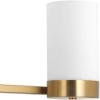 Progress Lighting P300023-109 Elevate Four-Light Bath, Antique Bronze(Brushed Bronze)