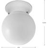 Progress Lighting P3605-30 Ceiling Fixture with White Glass Globe, White