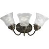 Progress Lighting P3289-15 3 Light Bath Fixture, Polished Chrome(Antique Bronze)
