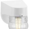 Progress Lighting Polycarbonate Outdoor 1-Light Clear Lexan Traditional Outdoor Wall Light Textured Black(White)