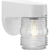 Progress Lighting Polycarbonate Outdoor 1-Light Clear Lexan Traditional Outdoor Wall Light Textured Black(White)