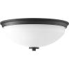 Progress Lighting Replay Collection 2-Light Ceiling Light, Flush Mount Ceiling Light Fixture for Interior Kitchen Lights, Hallway, Bedroom, Living Room, 14-Inch by 5-3/4-Inch, Polished Nickel(Polished Nickel)
