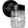 Progress Lighting 1-Light Clear Glass Traditional Outdoor Wall Lantern Light Textured Black(Black)