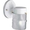 Progress Lighting 1-Light Clear Glass Traditional Outdoor Wall Lantern Light Textured Black(White)