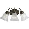 Progress Lighting P3289-15 3 Light Bath Fixture, Polished Chrome(Antique Bronze)